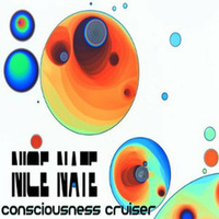 Consciousness Cruiser by Nice Nate