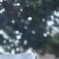 Our Love Language (Original Mix) Kaydo &amp; Bantu native by Yaseen Yaya