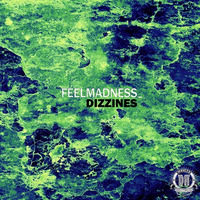 DZR219 : FeelMadness - Dizzines (Original Mix) by Dizzines Records