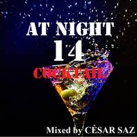 AT NIGHT 14 COCKTAIL Mixed by CÉSAR SAZ by César Saz