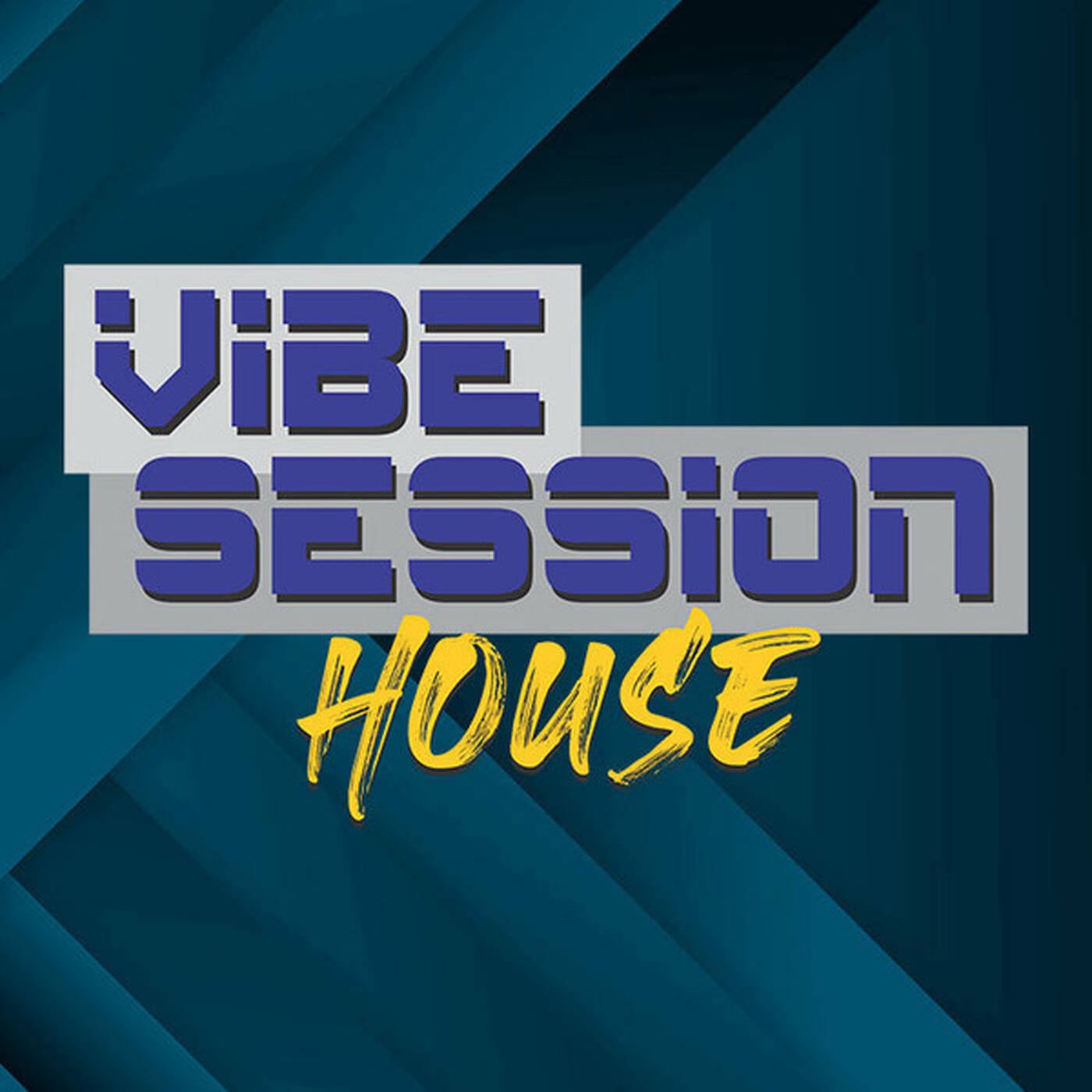 Vibe Session House #79 - Guest Mix: DJ MTS (High Quality Version, without IDs and voice overs) episode artwork