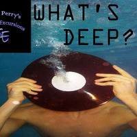 Soulful Excursions 08182015 What's Deep by Chris Perry's Soulful Excursions