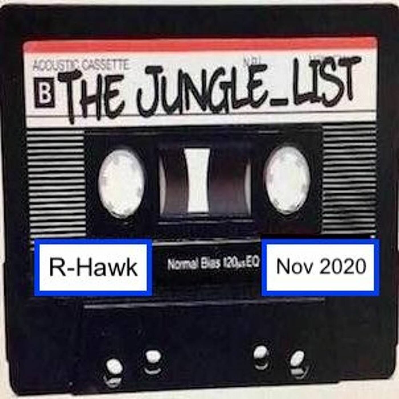 The Jungle_List Admin Mix - R-Hawk - Nov 2020 episode artwork