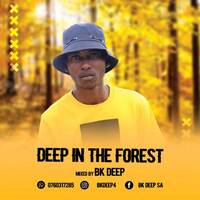 Deep in the Forest Mixed by BK DEEP by BK Koketso Mphaka