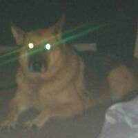 RIP DnB W0Lf B renegade#0024rec (09 24 2016) by ErebussDnB