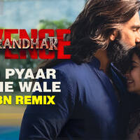 Hum Pyaar Karne Wale - Dhuandhar The Revenge - DJ RBN Mashup by DJ RBN