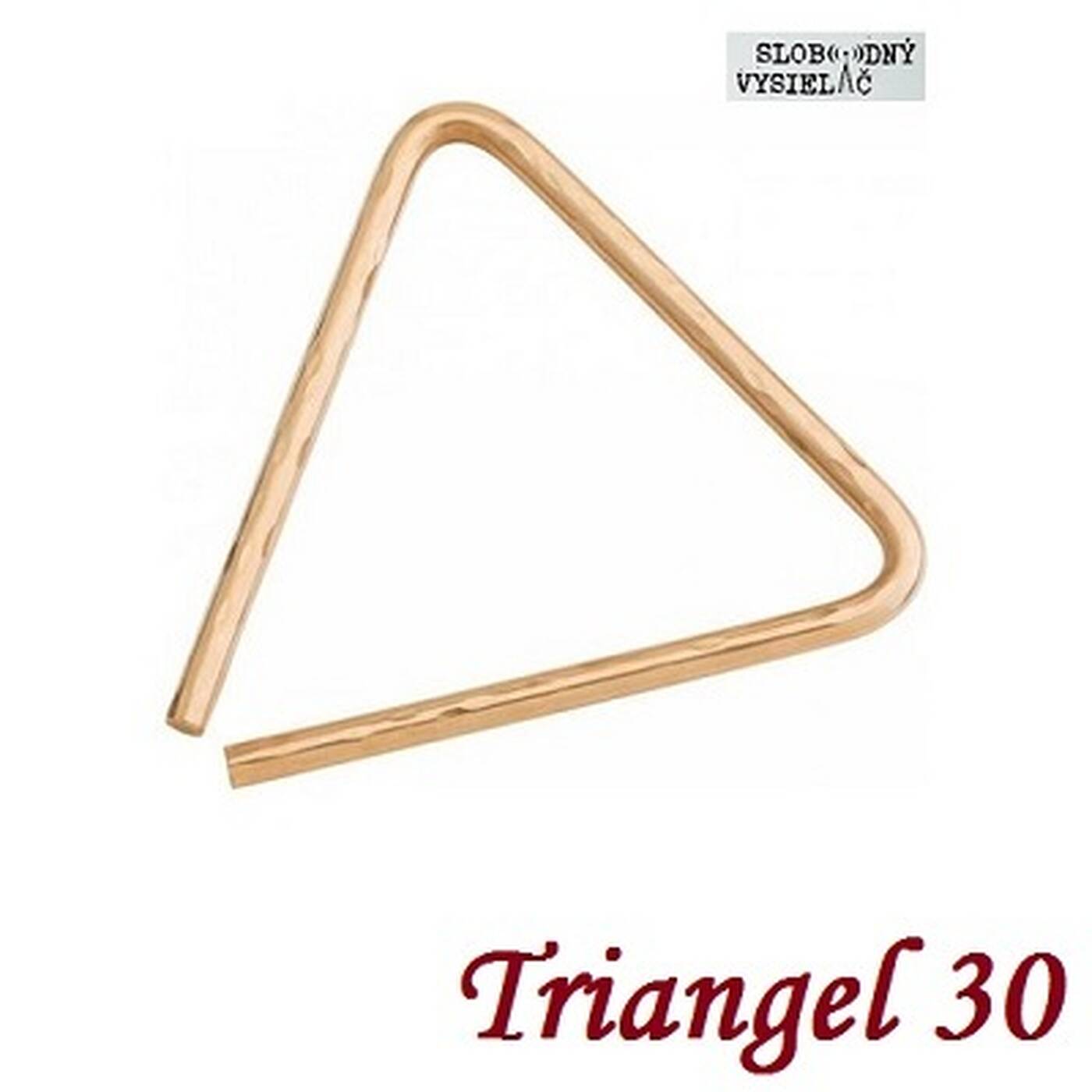 Triangel 30 - 2023-02-06 Daniel Landa episode artwork