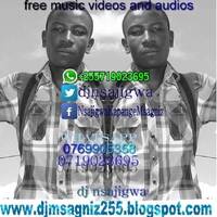 Davido - FIA (Remix) (Audio) ft. Stefflon Don(www.djmsagniz255.com) by djnsajigwa