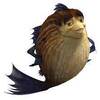 Syx 🐡