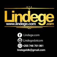Gigy Money - Usinisumbue by LINDEGE