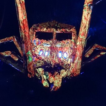 L&ouml;ckchen L&ouml;ckchen Locke