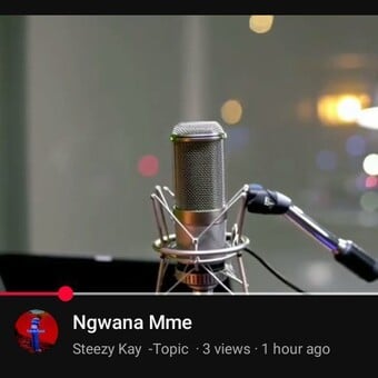 Steezy Kay Entertainment