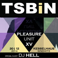 20.12.2014 TSBIN /PLEASURE UNIT XV / Kessselhaus Singwitz by TSBiN aka TeeSeN & SchuBi