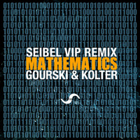 Gourski & Kolter - Mathematics (Seibel VIP Remix) by Seibel