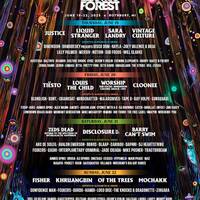 Vintage_Culture_-_Live_at_Electric_Forest_Festival_Rothbury_19-06-2025-Razorator by RazoratorCZ