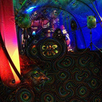 0mn1v0r3 live at Camp Lamp 2015(Firefly Art Collective) by Tatzelwurm