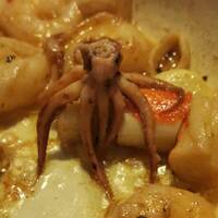 werner van koten morningstunde2021-12-05 by Werner van Koten