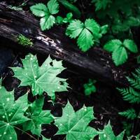 copernicus - highway to house - episode 118 by copernicus