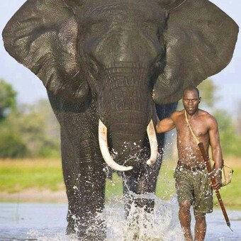 Thomas WolfZuckerbergJohnson