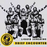 Show #52 - Brief Encounter - Liquid Sunshine @ The Face Radio - 06-04-2021 by Liquid Sunshine