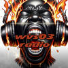 wvs03 radio