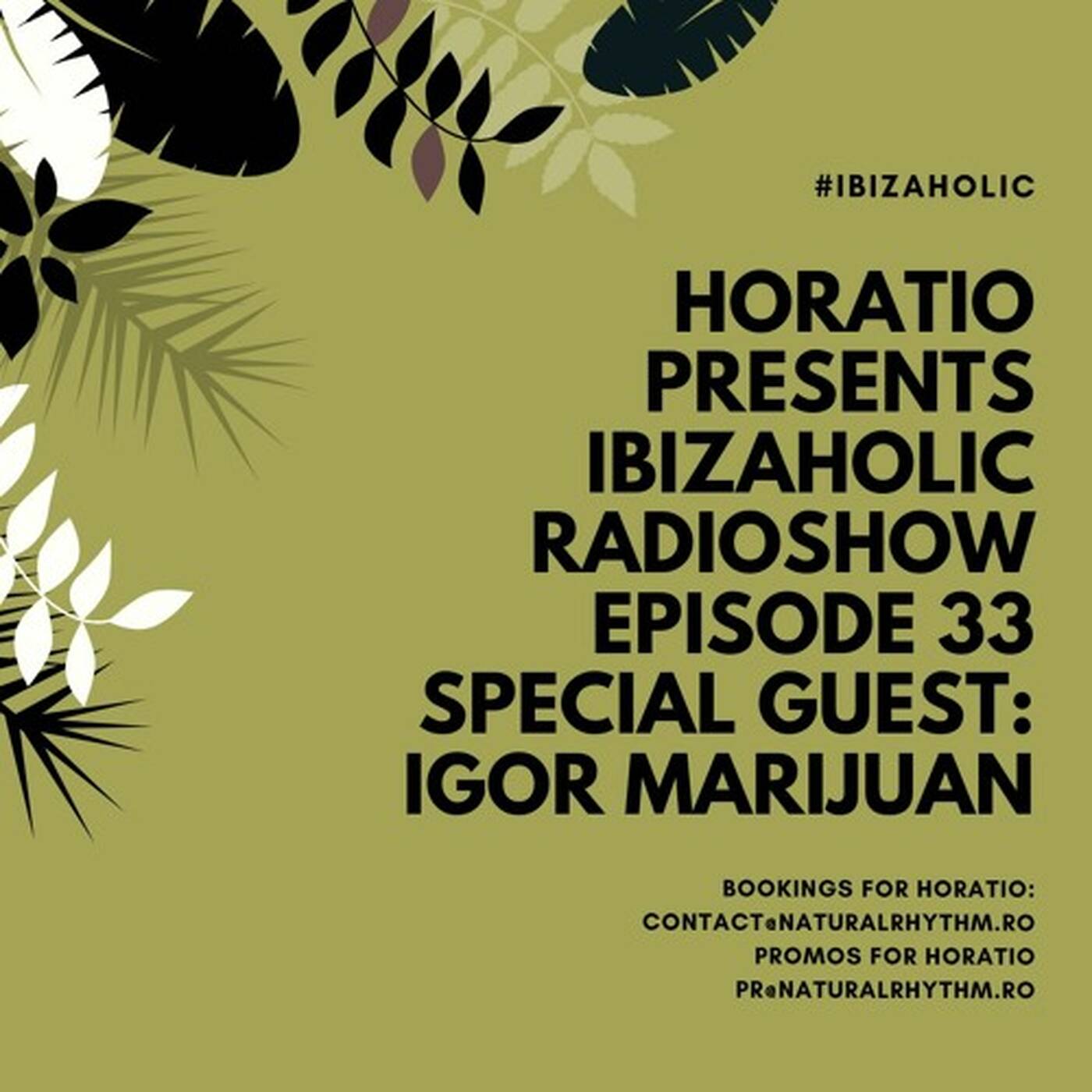 IBIZAHOLIC RADIOSHOW EPISODE 33 SPECIAL GUEST IGOR MARIJUAN episode artwork
