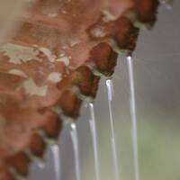 Spring Rain by Dj Hoffman