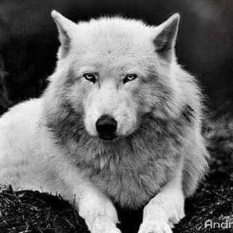 J&aacute;n Ratkovsk&yacute;