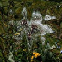 Click &amp; Collect by Gérard Delassus