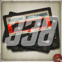 Echochamber 338 aus Hof Hackenow (05.07.18) by Saetchmo