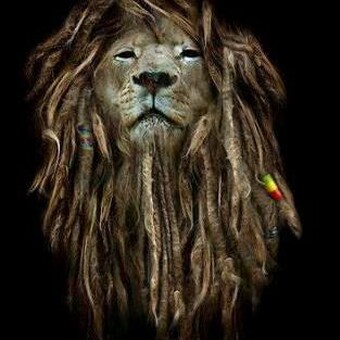 Wailer Mstapha