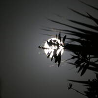 Autumn Equinox_2021 by WolfGong Scheibe