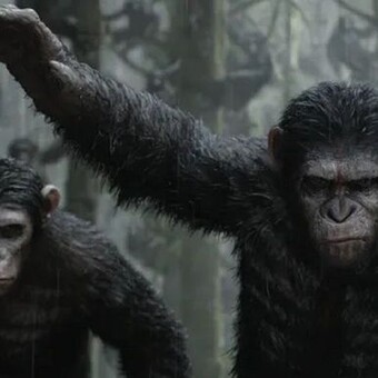 Ian Swaiger (DEEJAY IANPRO 256)