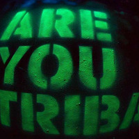 Are You Tribal by Don Stone