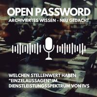 IVS-Erfolg durch das gewisse Extra: Die Rolle der Einzelaussagen by infobroker