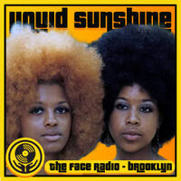 Deep Dirty Party Funk - Liquid Sunshine @ The Face Radio - Show #210 by Liquid Sunshine