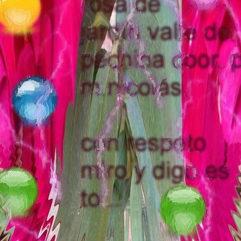 Miguel Angel Nicol&aacute;s