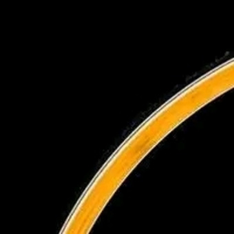 Selector Doj Official