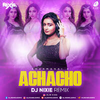 Achacho (Remix) - DJ Nixie by All Indian DJs Drive