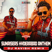 Sunrisers Hyderabad Anthem (DJ Ravish Remix) by DJ Ravish & DJ Chico