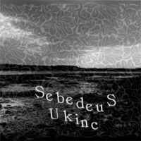 Sebedeus - Here In Body (No Quality Control) - 13 Ukinc by Sebedeus