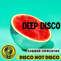 Disco not Disco Deep Disco Dive - Liquid Sunshine @ The Face Radio - Show #85 - 07-12-2021. by Liquid Sunshine