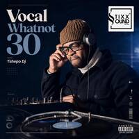 VOCAL WHATNOT 30 - TSHEPO DJ by Stixx Sounds Live Sessions