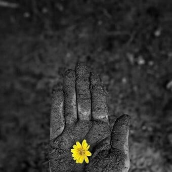 Tiisetso Titus22