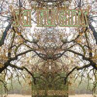 Sci Flights by Chlorophil of Synchronos Recordings
