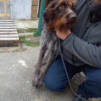 podcast 10 by LE MATOU