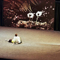 LIVE @ Maybe Forever - Kaaitheater (2012) by Lowdjo