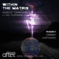 Agent Orange Ft MC Flipside - Within The Matrix (Dub Mix) FREE DOWLOAD by Agent Orange Dj