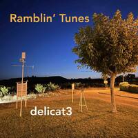 Ramblin' Tunes - delicate3 by Pat