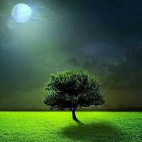 Melodic Deep House by Michael Angele